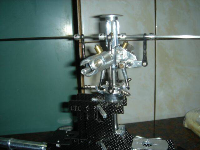 DSC06184.JPG
