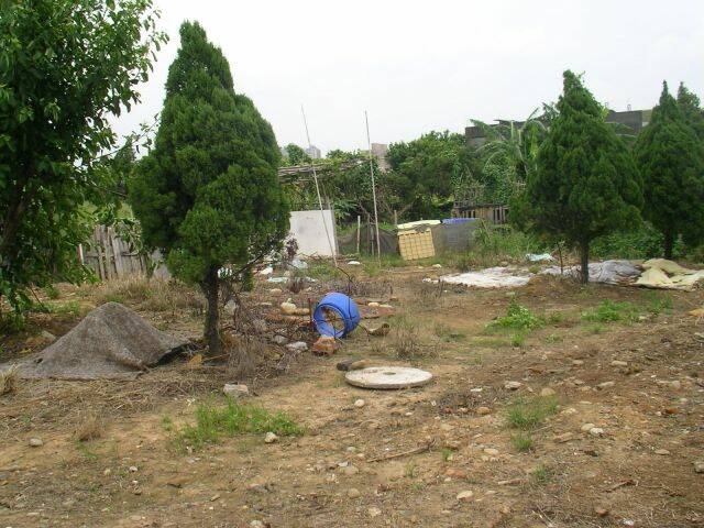 SANY0013.JPG