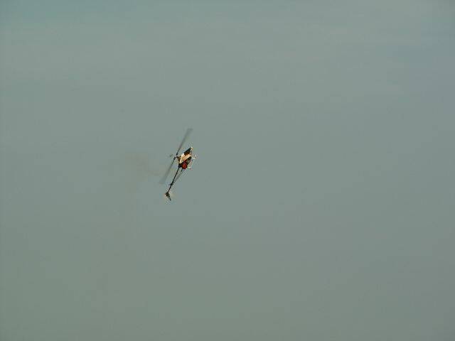 DSC06648.JPG