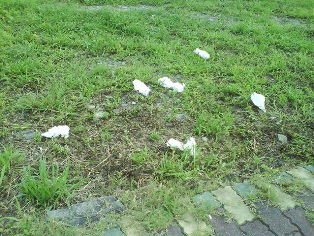 DSC00564.JPG