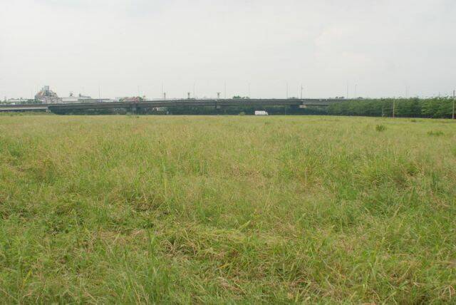 萬大台糖新飛場3.jpg