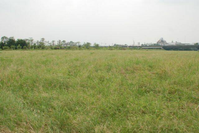 萬大台糖新飛場2.jpg