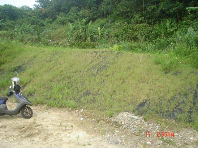 DSC01996.JPG