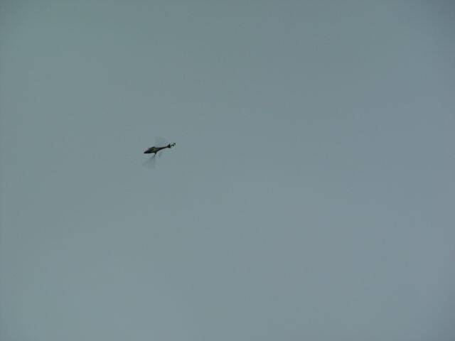 DSC06699.JPG