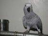 tn_F23_20090809071832402[1].jpg