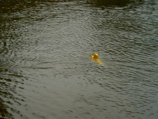 CAM_4712.jpg