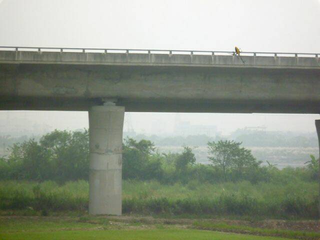 P1000099.jpg