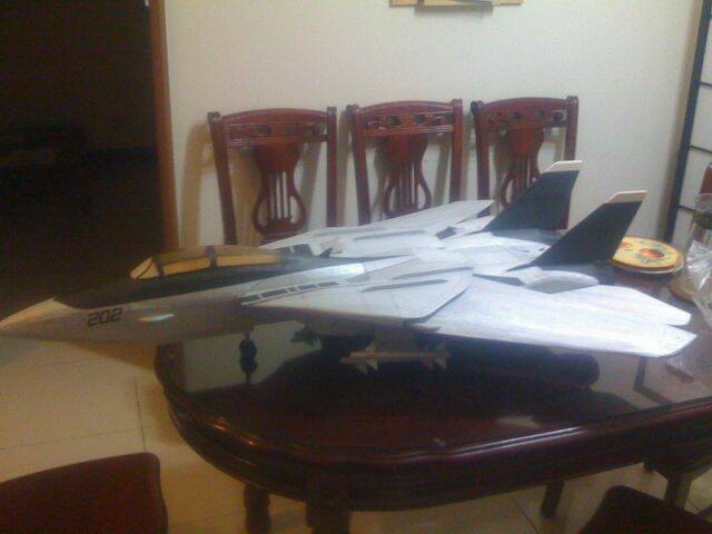 F-14 042.jpg