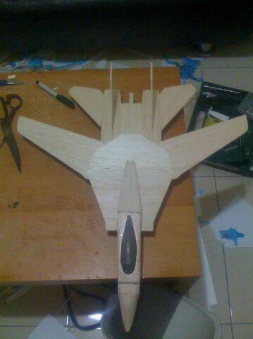 F-14 050.jpg