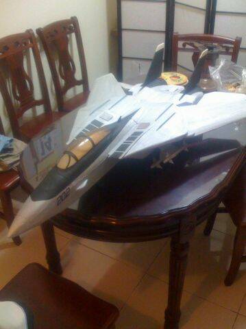 F-14 041.jpg