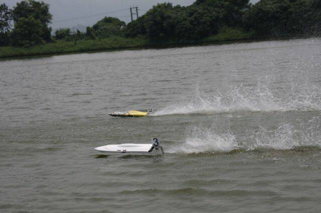 IMG_6586.jpg