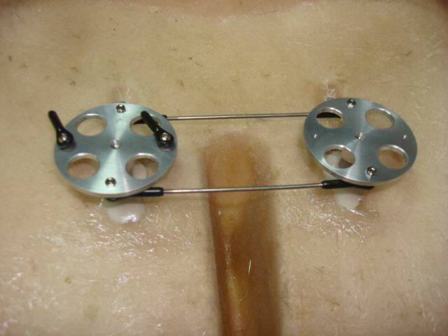 DSC07311.JPG