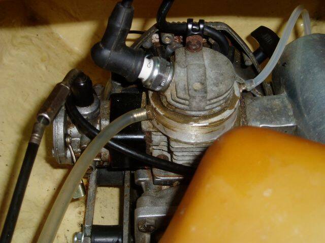 P9040018.JPG