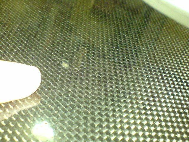 DSC05617.JPG