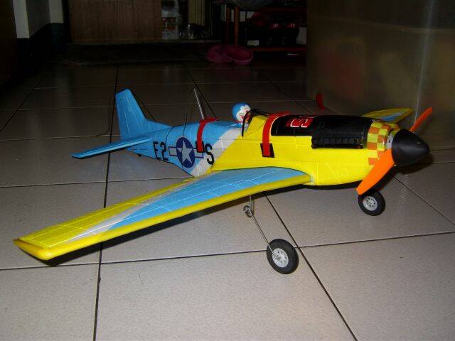 P51.jpg