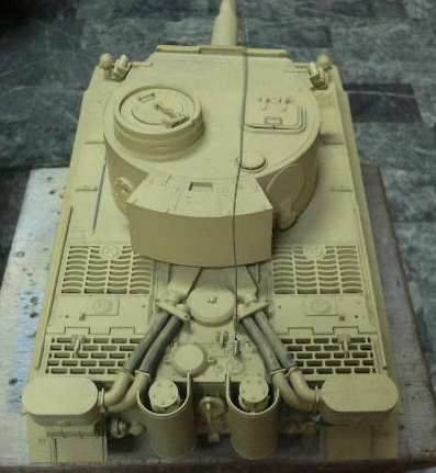tiger3.jpg