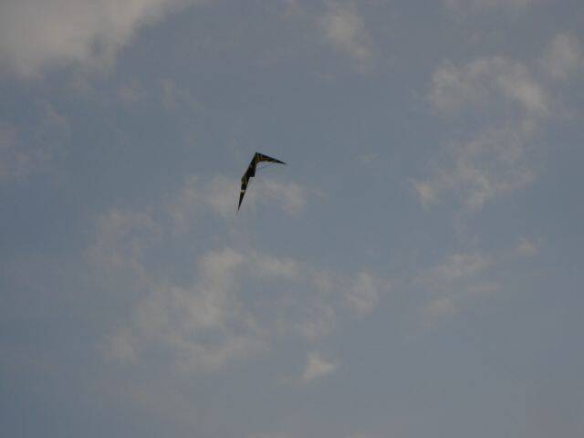 DSC01803.JPG