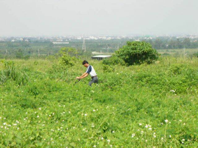 SANY0037.jpg