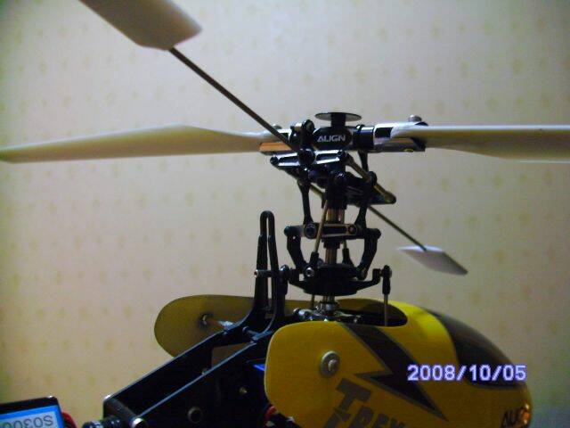 SANY0500.JPG