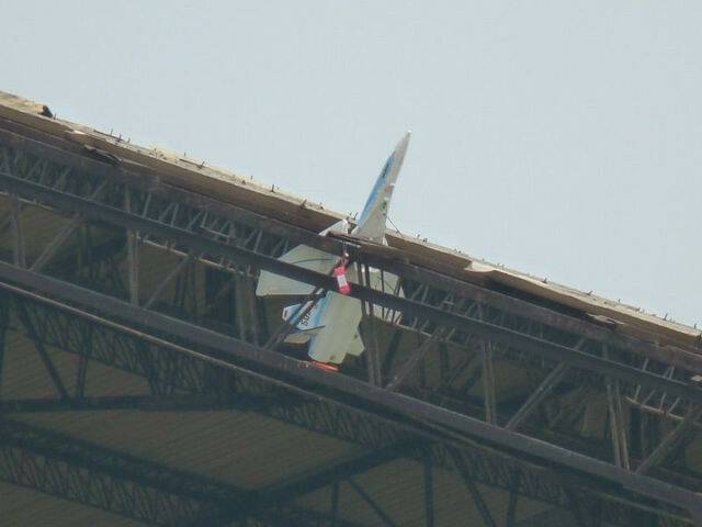P1020550.jpg
