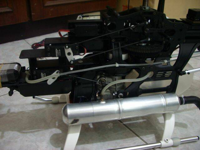 IMGP8101.JPG