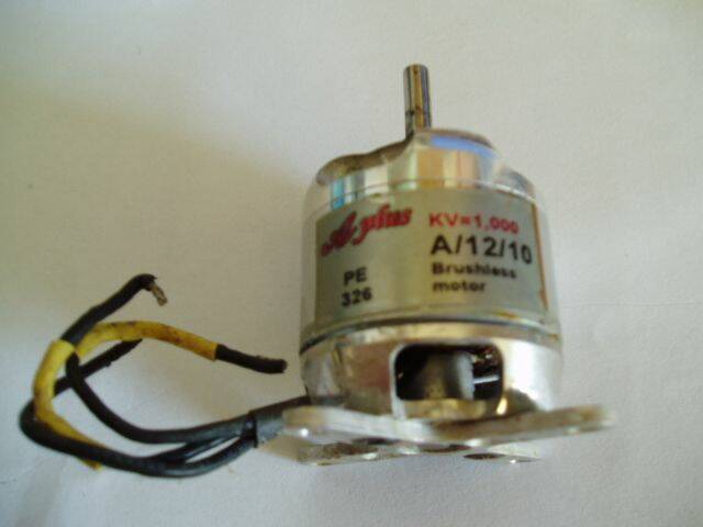 P1010305.JPG