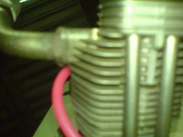 DSC00065.JPG