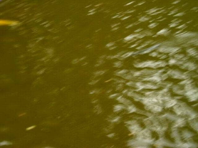 CAM_4756.jpg