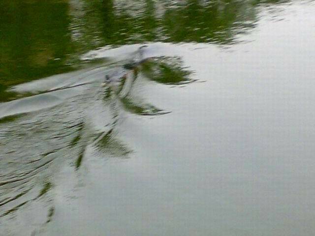 20090920690.jpg