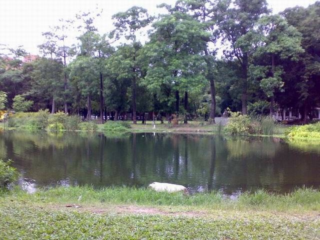 玩電船場地鳳山國父紀念館後面公園...