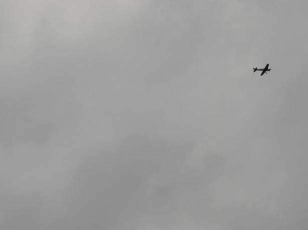DSC03316.JPG