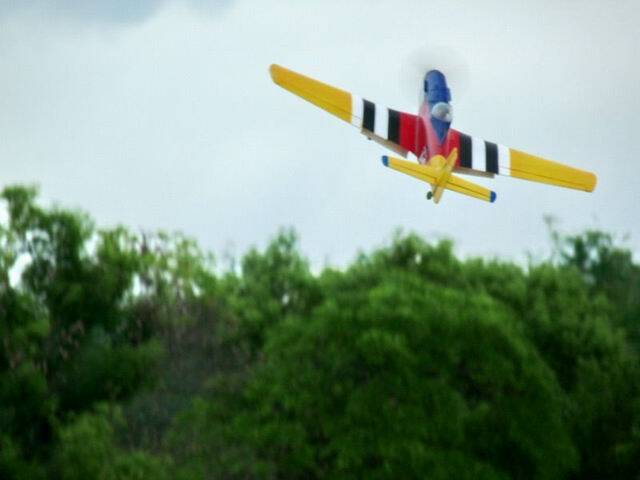P1020754.jpg