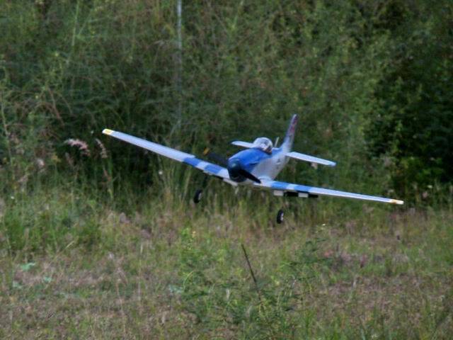 P1020801.jpg