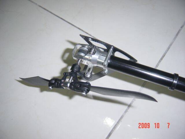 DSC07641.JPG
