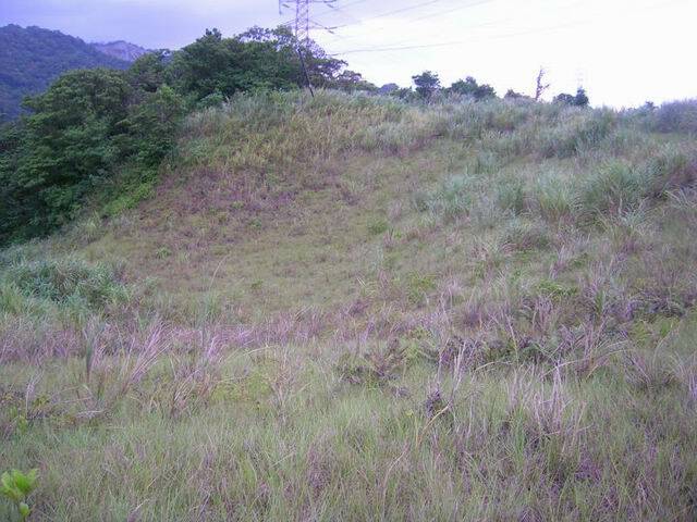 DSCN9691.JPG