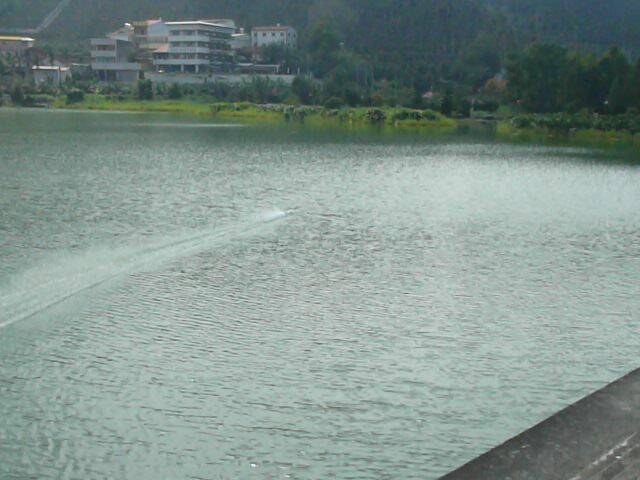 P1120282.JPG