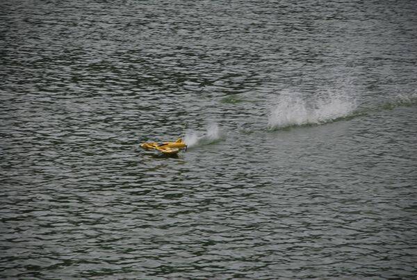 m_DSC_0276.jpg
