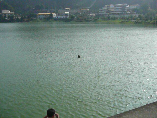 P1120302.JPG