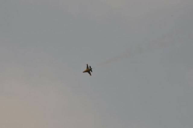 DSC_9933.JPG