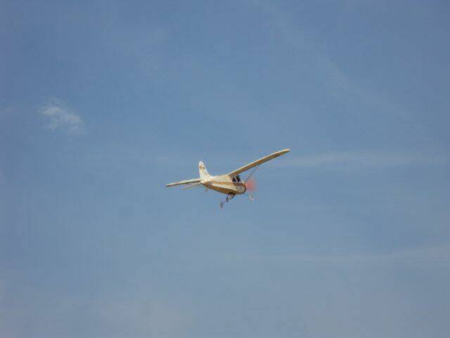 DSC01006.JPG