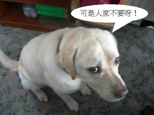 379384313_e31382bcfa.jpg