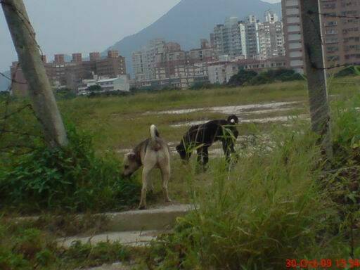 哥倆好～～～