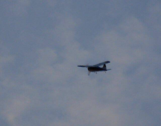 DSC01147.JPG