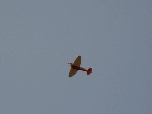 DSC01943.JPG