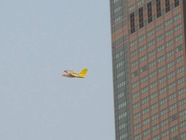 DSC01945.JPG