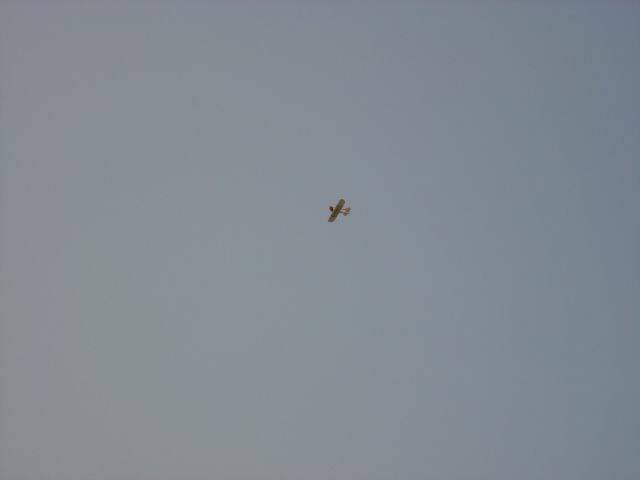 DSC01964.JPG