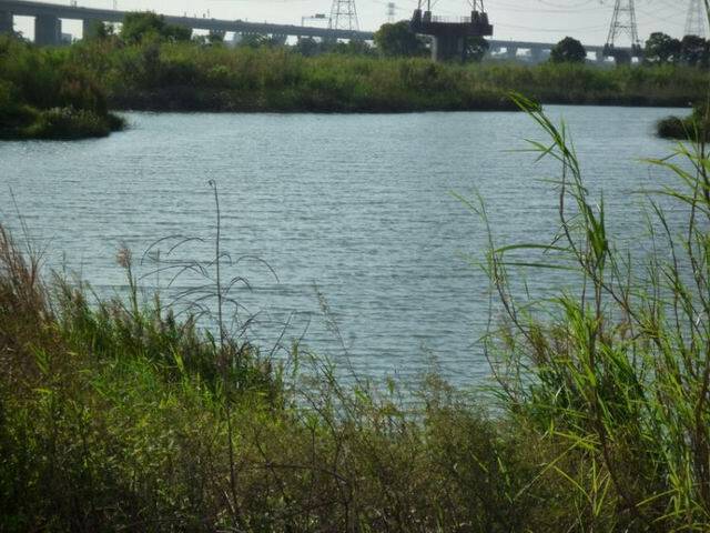 P1000508.jpg