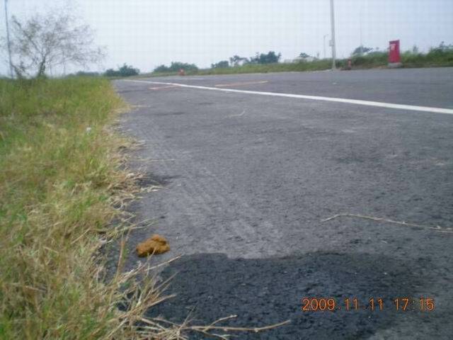 DSCN3474.JPG