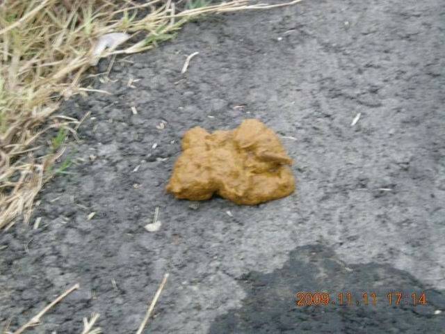 去除馬賽克還原真相懷疑的可以靠近一點看