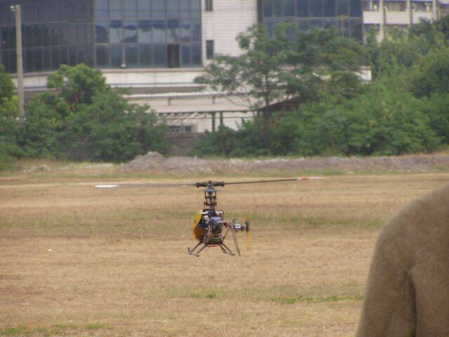 P1010135.JPG